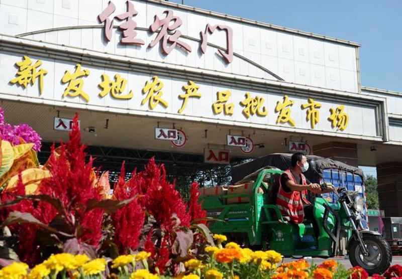 合肥商贸之花绽放——仁缘商贸公司业绩解析