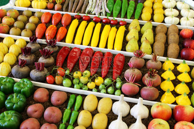 蔬菜,水果,秋天,农作物,多色的