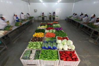 餐饮食材、蔬菜、净菜加工,有机蔬菜配送、冻货、水果
